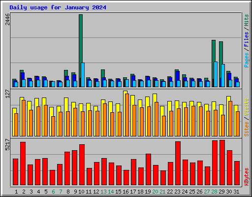 Daily usage for January 2024