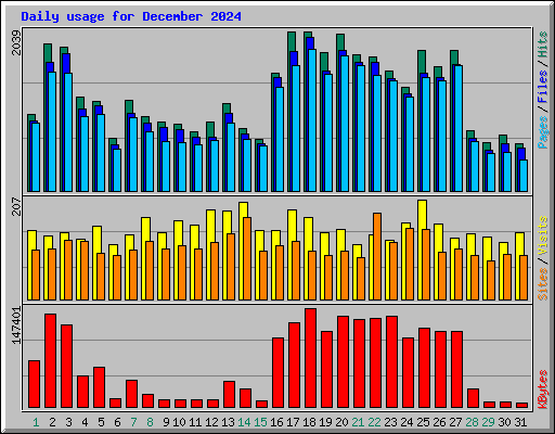 Daily usage for December 2024