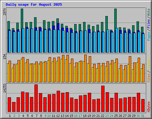 Daily usage for August 2025