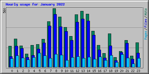 Hourly usage for January 2022