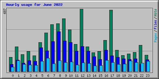 Hourly usage for June 2022