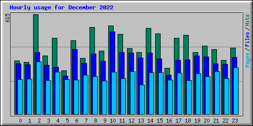 Hourly usage for December 2022