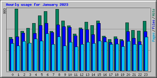 Hourly usage for January 2023