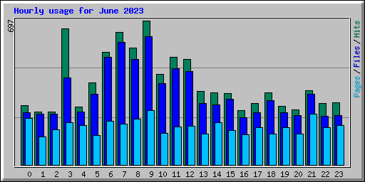 Hourly usage for June 2023