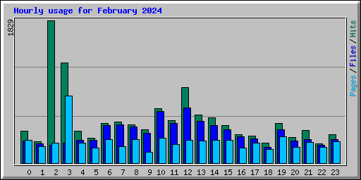 Hourly usage for February 2024