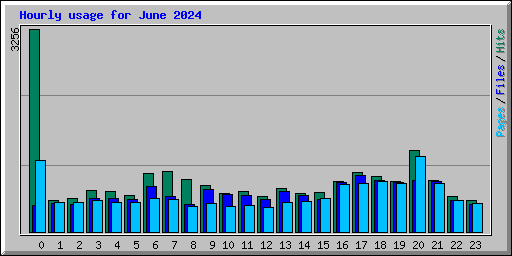 Hourly usage for June 2024