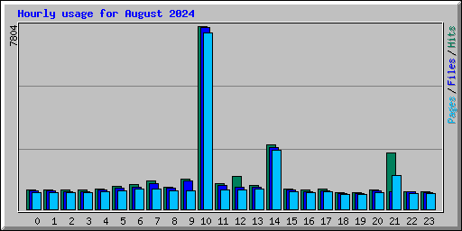 Hourly usage for August 2024