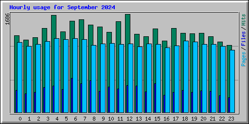 Hourly usage for September 2024