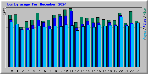 Hourly usage for December 2024