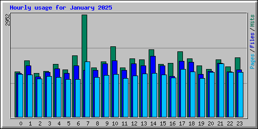 Hourly usage for January 2025