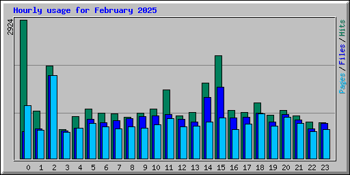 Hourly usage for February 2025