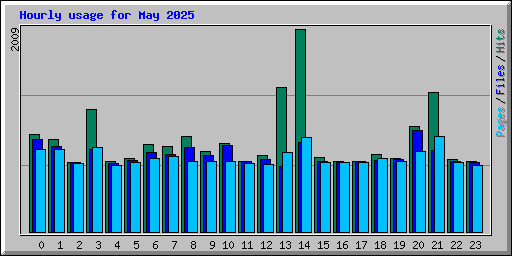 Hourly usage for May 2025