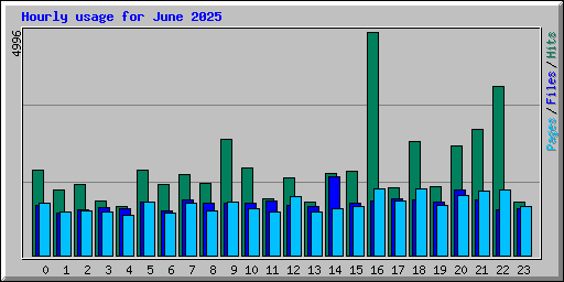 Hourly usage for June 2025