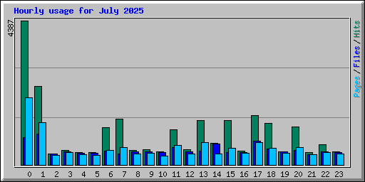 Hourly usage for July 2025