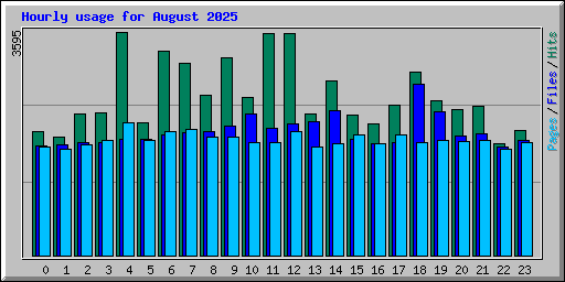 Hourly usage for August 2025
