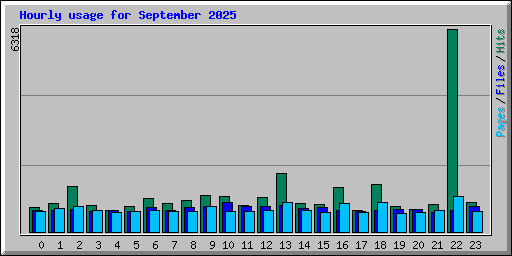 Hourly usage for September 2025