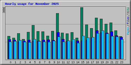 Hourly usage for November 2025