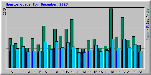 Hourly usage for December 2025